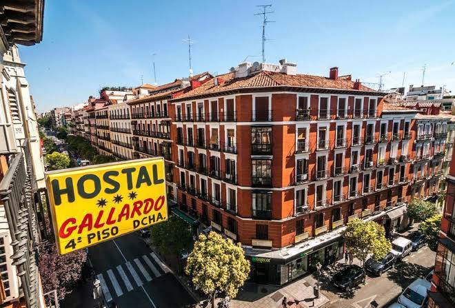 Hotel gallardo