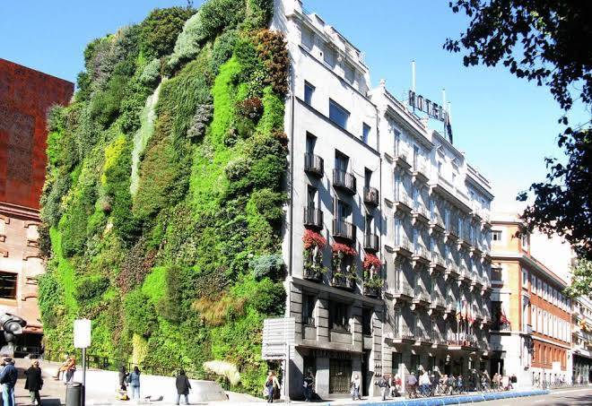 Hotel mora
