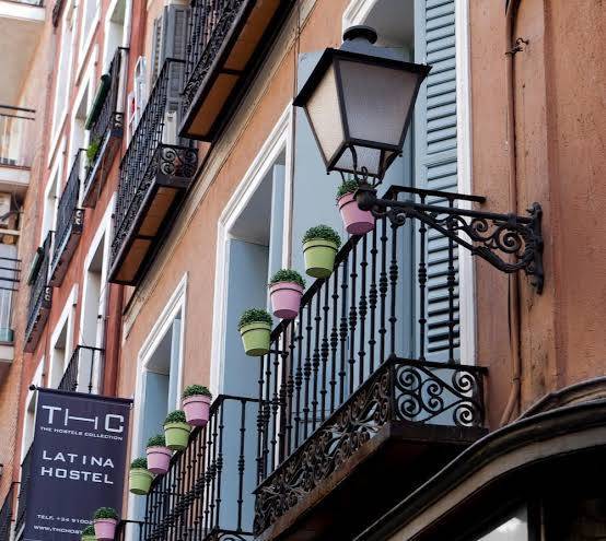 Thc latina hostel