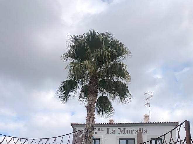 Hotel la muralla