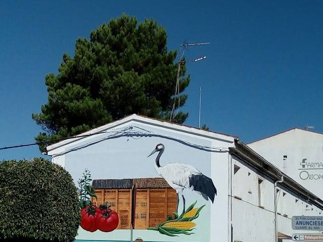 Hotel La Pizarra Image