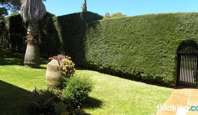 Jardin de la yedra