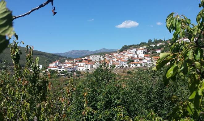 Las calabazas