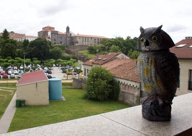 Miradoiro de belvis