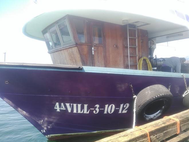 Aurelia Antica Mare Image