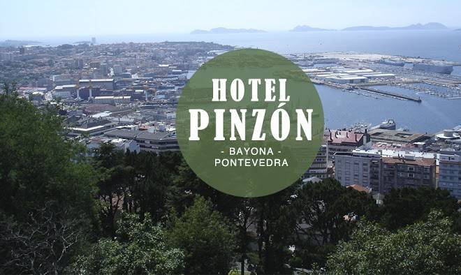 Hotel Pinzon Image
