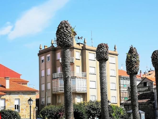 Pinarejo