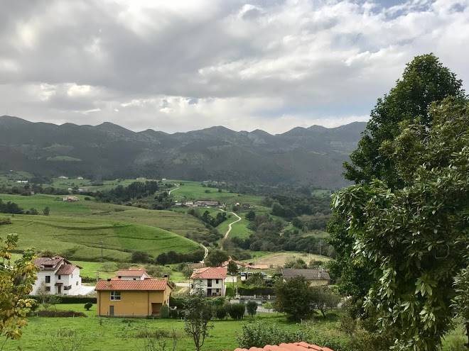 El alloro