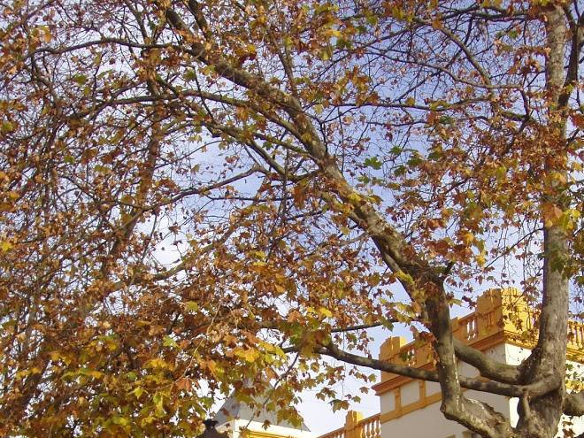 Hotel Arcea Palacio De Las Nieves Image