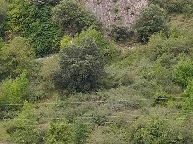 Los molinos de xuan