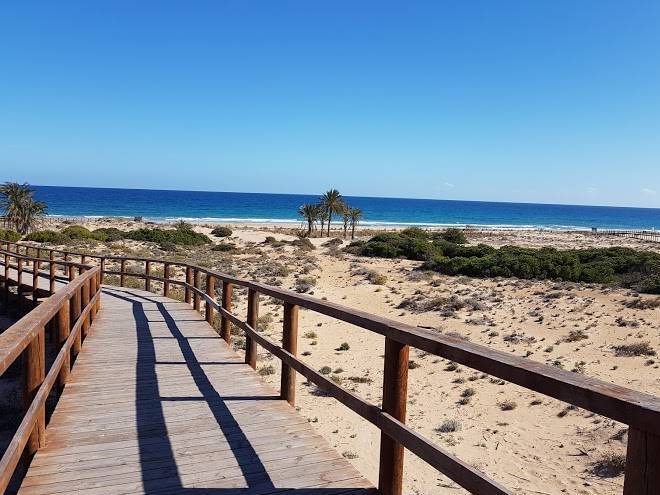 Globus gran alacant