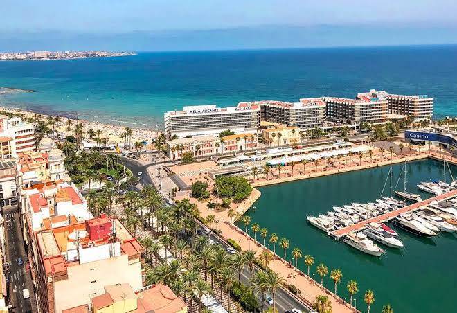 Melia alicante