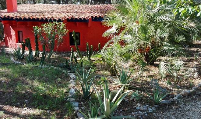 El botanico de sagra