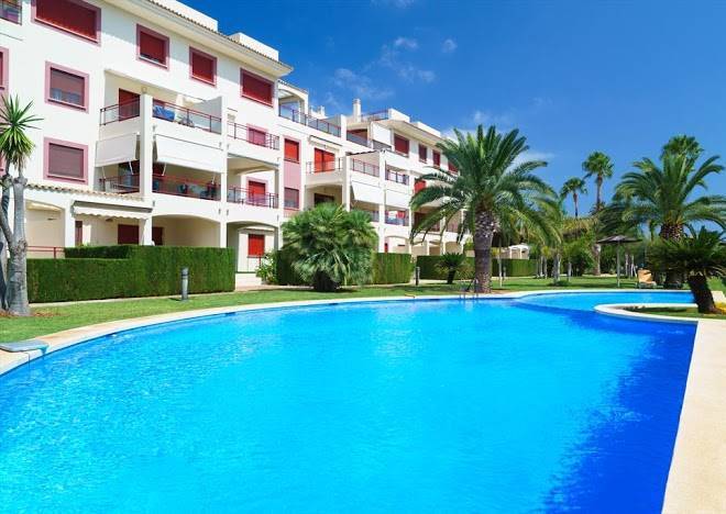 El palmeral i