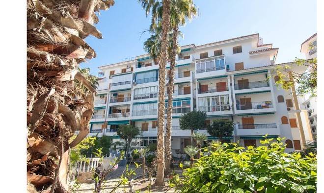 Er 106 Espavista Rent Image