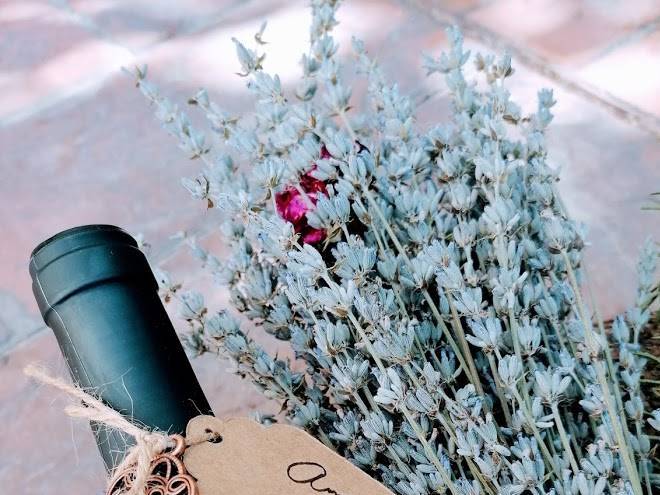 Finca San Diego Image