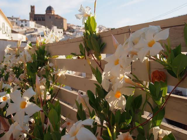 Hotel abaco altea