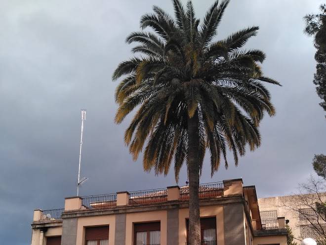 El jardi de l'estornell