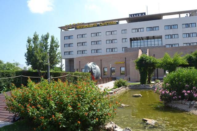 Hotel simba