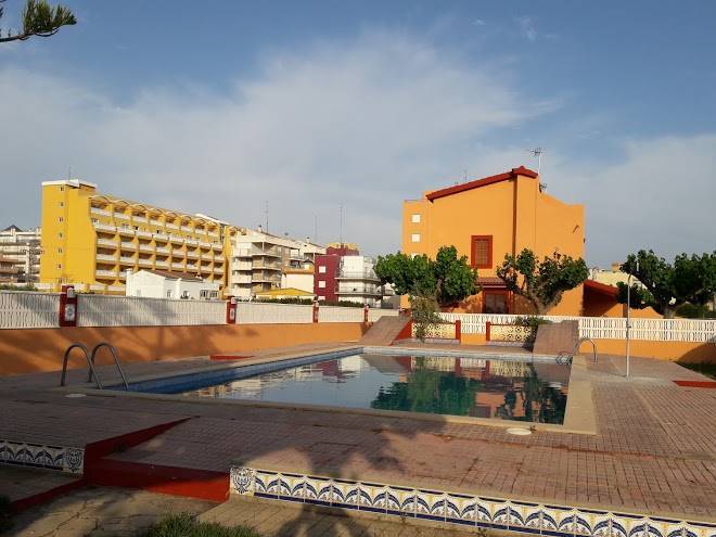 La palmera 2