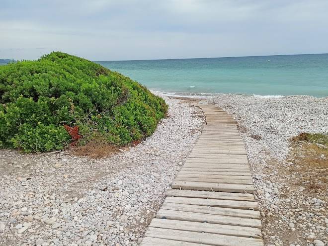 Playa Tropicana Image