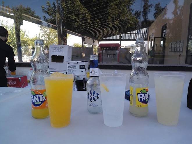 Complejo hotel alvaris s l