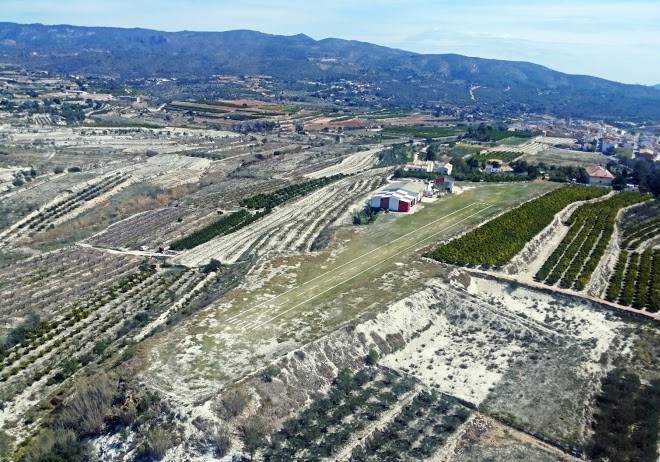 El Balica Restaurante Image