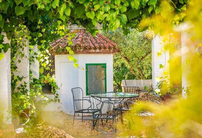 Finca micalas