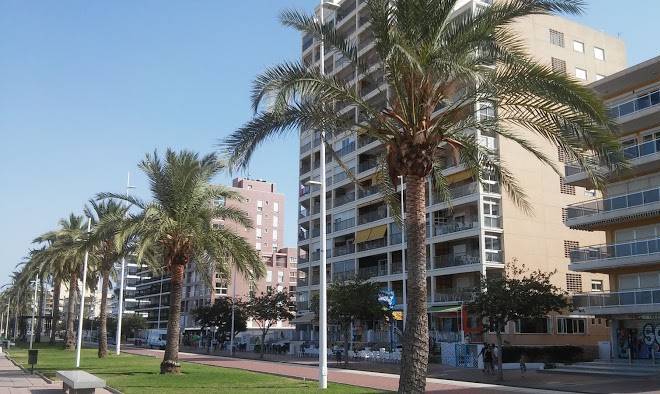 Playa miramar