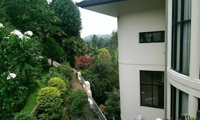 Mountain Views Image