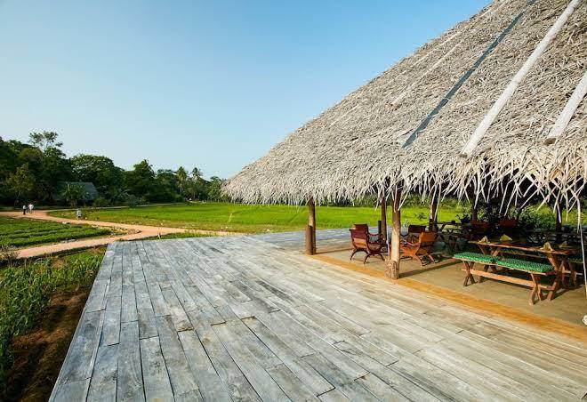 Amuna ayurveda retreat wellness resorts in sri lanka