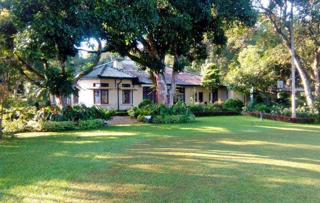 Ancoombra tea estate bungalow