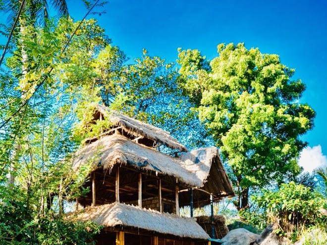 Arana Rathnaella Image