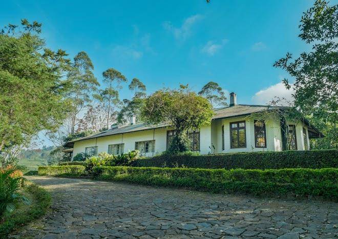 Binoya tea estate bungalow