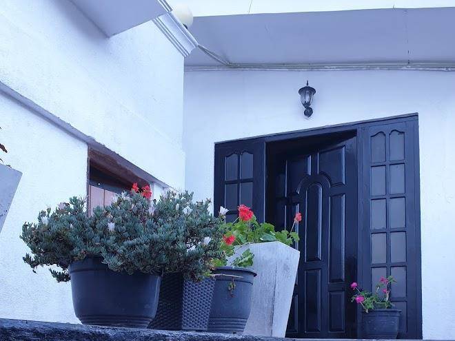 Bungalow 234