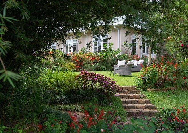 Ceylon tea trails castlereagh bungalow