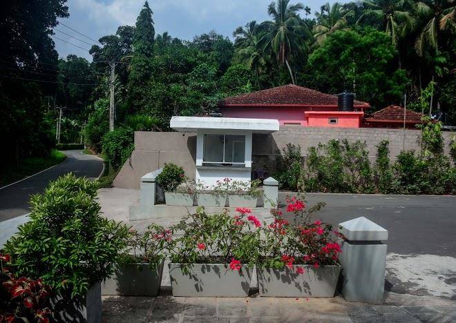 Earl's Red Kandy Image