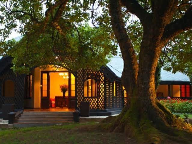 Ferncliff bungalow