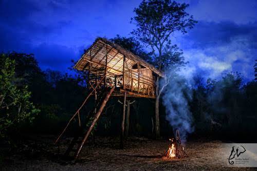 Gadja safari holiday bungalow