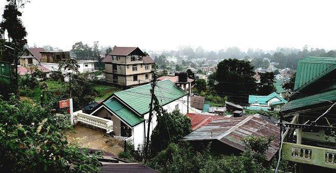 Golden King Guest Image