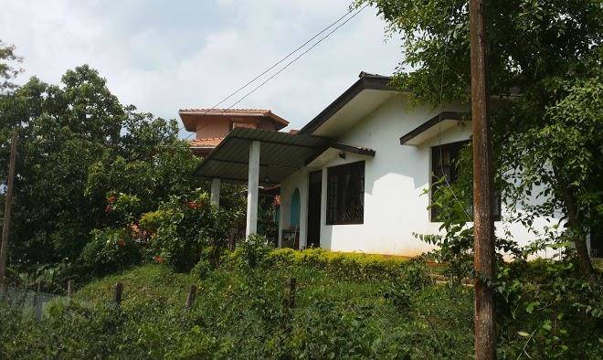 Green Hills In The Mist Image