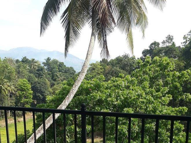 Hanthana view