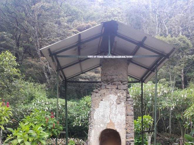 Hewaheta hideaway