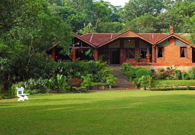 Hotel tree of life nature resort