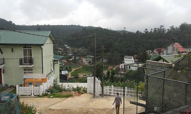 Jungle front bungalow nuwaraeliya