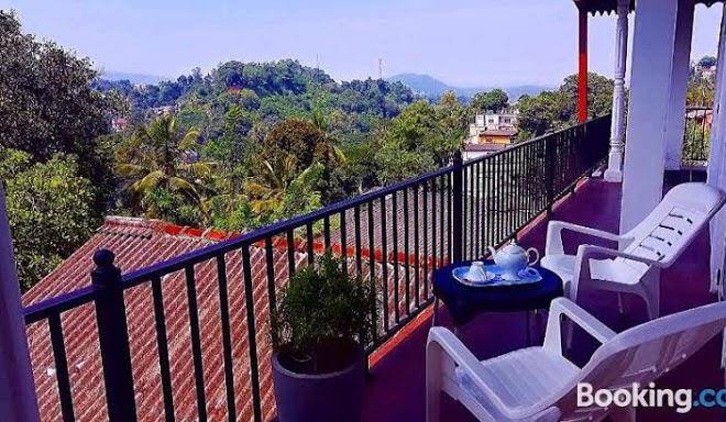 Kandy jungle view