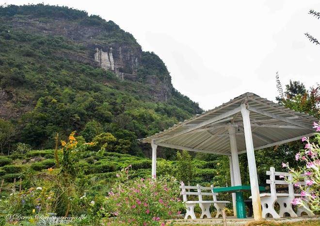 Knuckles view holiday bungalow