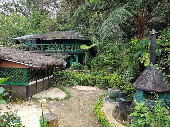 Loinorn north cove cabana