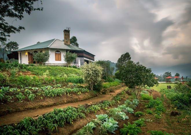Madulkelle tea and eco lodge