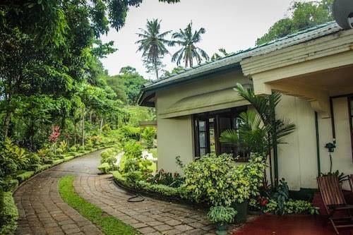 Meezan ancoombra tea estate bungalow